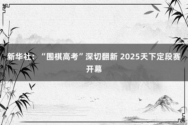 新华社：“围棋高考”深切翻新 2025天下定段赛开幕
