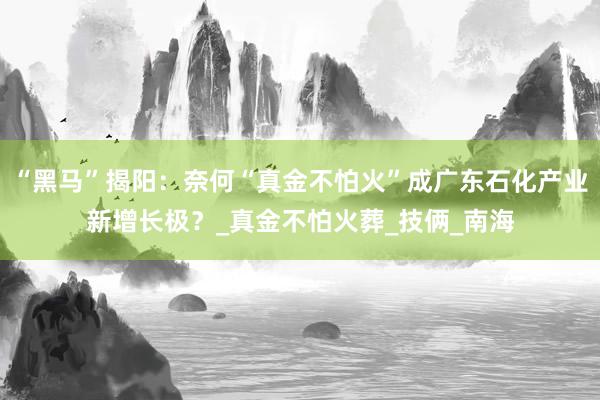“黑马”揭阳：奈何“真金不怕火”成广东石化产业新增长极？_真金不怕火葬_技俩_南海