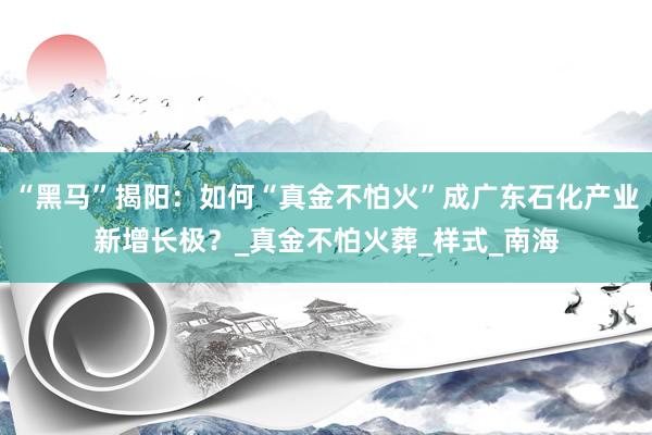 “黑马”揭阳：如何“真金不怕火”成广东石化产业新增长极？_真金不怕火葬_样式_南海