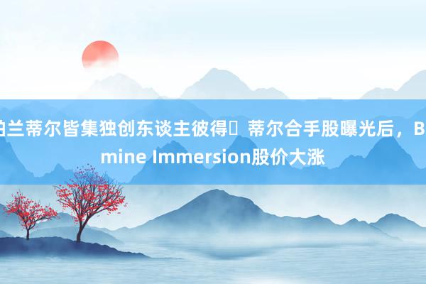 帕兰蒂尔皆集独创东谈主彼得・蒂尔合手股曝光后，Bitmine Immersion股价大涨