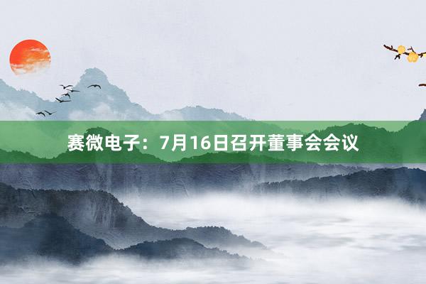 赛微电子：7月16日召开董事会会议