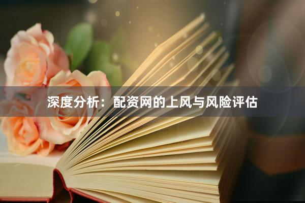 深度分析：配资网的上风与风险评估