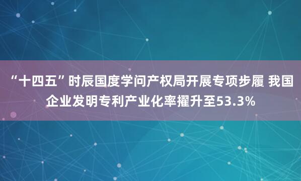 “十四五”时辰国度学问产权局开展专项步履 我国企业发明专利产业化率擢升至53.3%