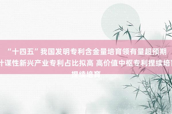 “十四五”我国发明专利含金量培育领有量超预期 计谋性新兴产业专利占比拟高 高价值中枢专利捏续培育