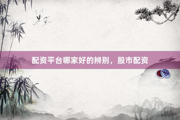 配资平台哪家好的辨别，股市配资