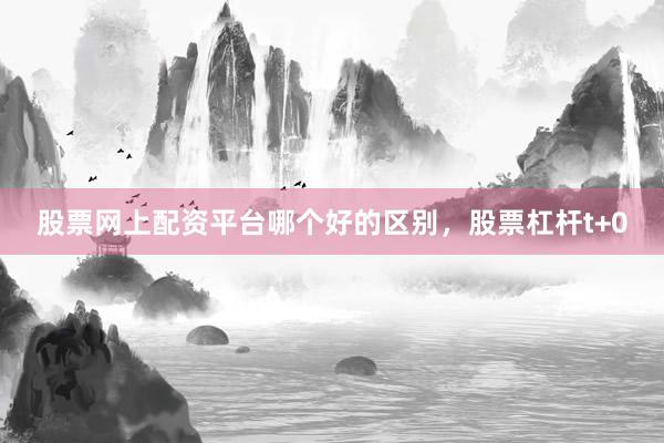 股票网上配资平台哪个好的区别，股票杠杆t+0