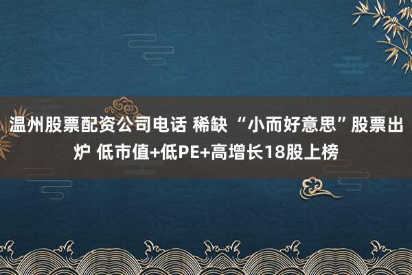 温州股票配资公司电话 稀缺 “小而好意思”股票出炉 低市值+低PE+高增长18股上榜
