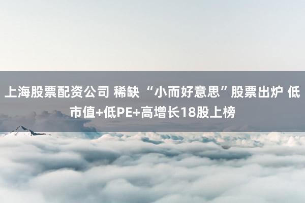上海股票配资公司 稀缺 “小而好意思”股票出炉 低市值+低PE+高增长18股上榜