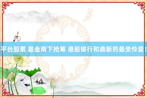 平台股票 基金南下抢筹 港股银行和鼎新药最受怜爱！
