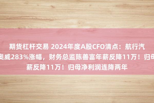 期货杠杆交易 2024年度A股CFO清点：航行汽车意见炒出万丰奥威283%涨幅，财务总监陈善富年薪反降11万！归母净利润连降两年