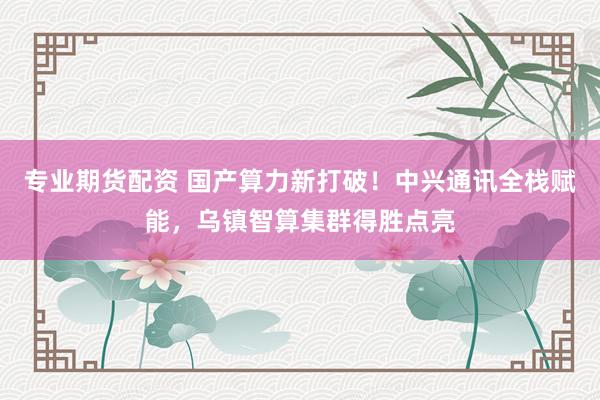 专业期货配资 国产算力新打破！中兴通讯全栈赋能，乌镇智算集群得胜点亮