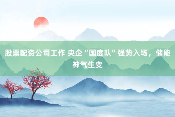 股票配资公司工作 央企“国度队”强势入场，储能神气生变