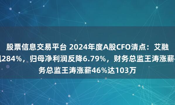 股票信息交易平台 2024年度A股CFO清点:艾融软件股价狂飙284%,归母净利润反降6.79%,财务总监王涛涨薪46%达103万