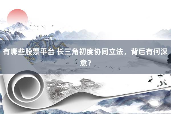 有哪些股票平台 长三角初度协同立法，背后有何深意？