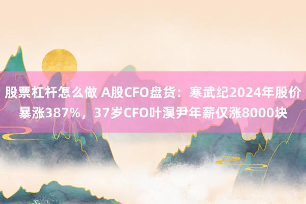 股票杠杆怎么做 A股CFO盘货：寒武纪2024年股价暴涨387%，37岁CFO叶淏尹年薪仅涨8000块
