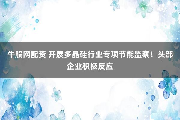 牛股网配资 开展多晶硅行业专项节能监察！头部企业积极反应