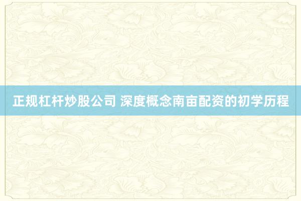 正规杠杆炒股公司 深度概念南亩配资的初学历程