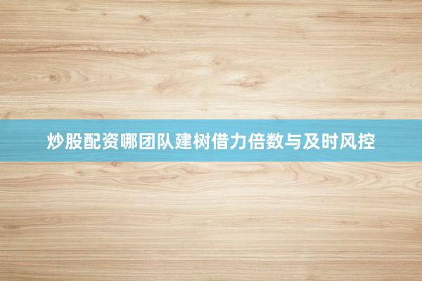 炒股配资哪团队建树借力倍数与及时风控