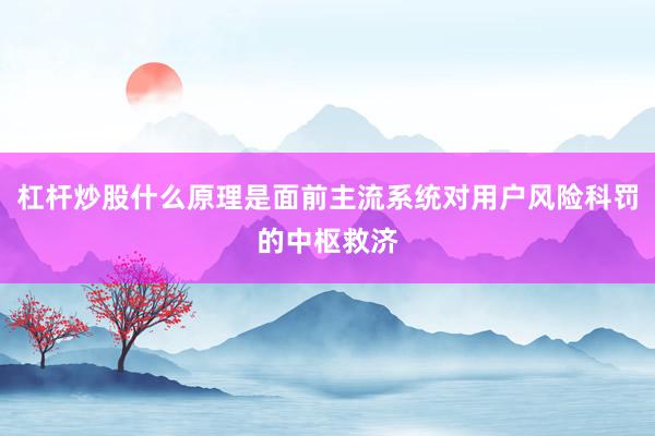 杠杆炒股什么原理是面前主流系统对用户风险科罚的中枢救济