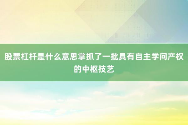 股票杠杆是什么意思掌抓了一批具有自主学问产权的中枢技艺
