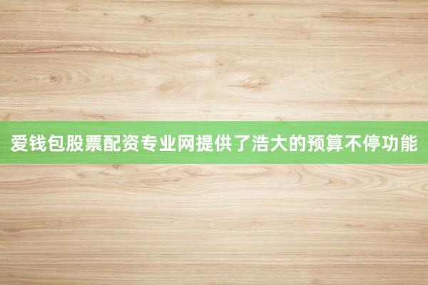 爱钱包股票配资专业网提供了浩大的预算不停功能