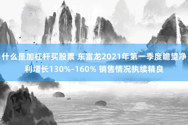 什么是加杠杆买股票 东富龙2021年第一季度瞻望净利增长130%-160% 销售情况执续精良