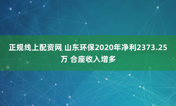 正规线上配资网 山东环保2020年净利2373.25万 合座收入增多