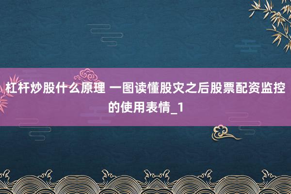 杠杆炒股什么原理 一图读懂股灾之后股票配资监控的使用表情_1